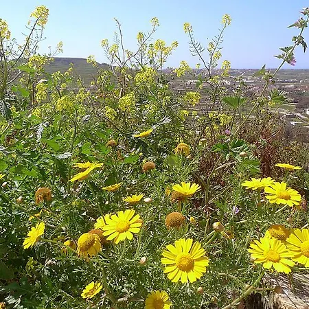 San Stephen Farmhouse Gozo * Zebbug (Gozo)