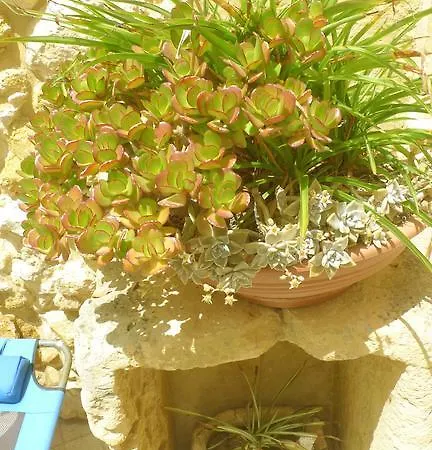 San Stephen Farmhouse Gozo בית נופש